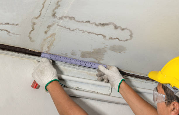 Reliable Emergency Water Damage Restoration contractor in Daly City, CA by Water Damage Irwin